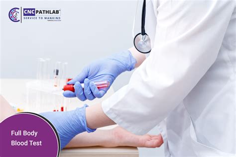 what is test package|full body blood test package.